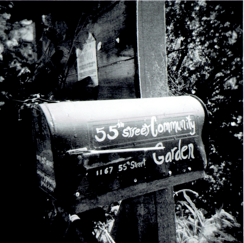 Illustration for article titled First Batch from the Holga